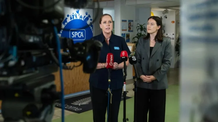 $1.2M Plan to Desex Dogs in Auckland, Northland for Safety