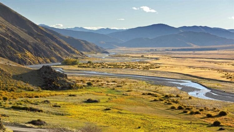 Five Applicants Compete to Operate New Zealand’s Largest Farm at Molesworth Reserve